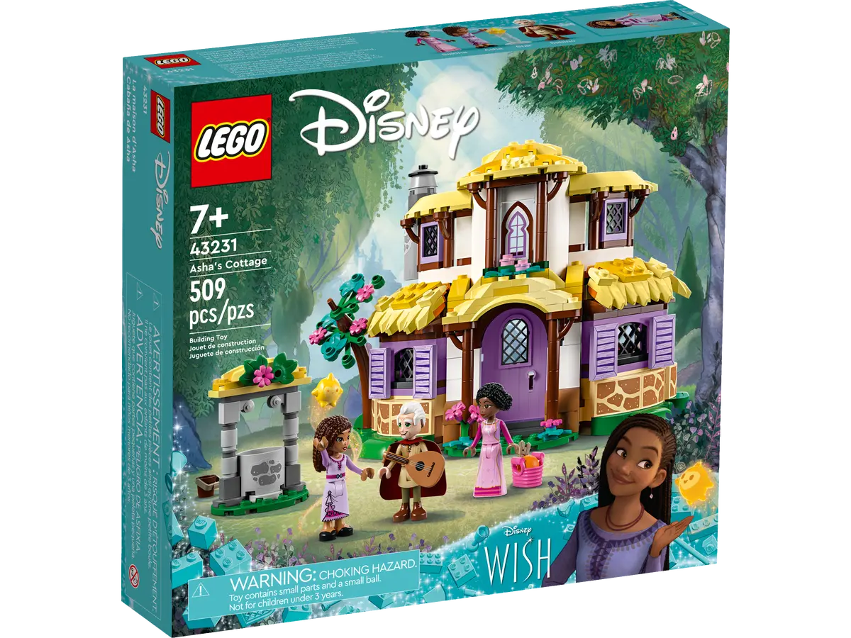 Disney Asha's Cottage