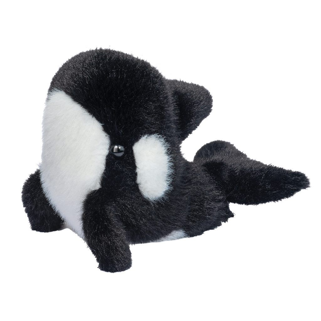 Lil' Baby Orca Whale