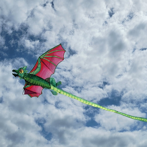 Storybook 3D Dragon Kite 68X148"
