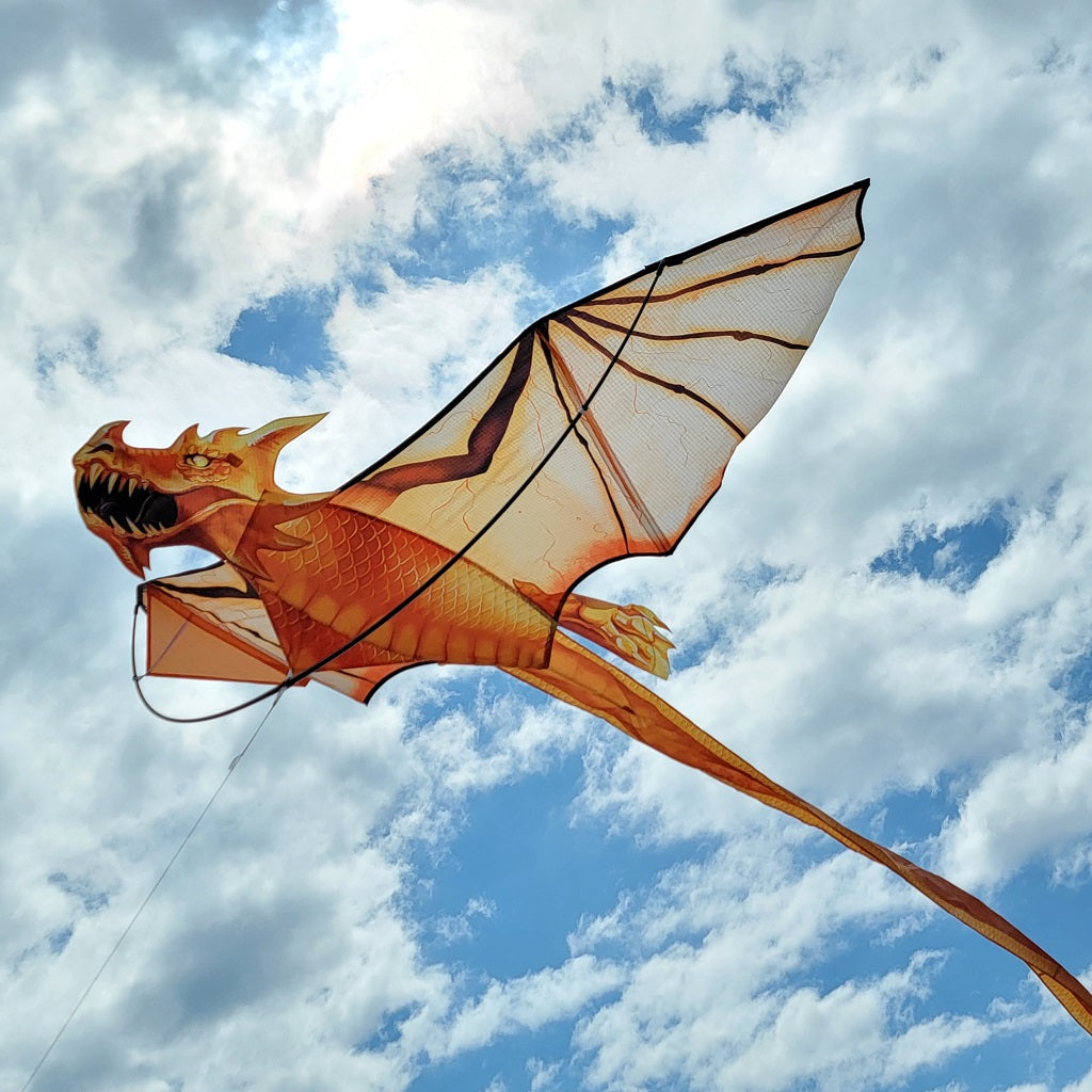 Golden Scale 3D dragon Kite 68X148"