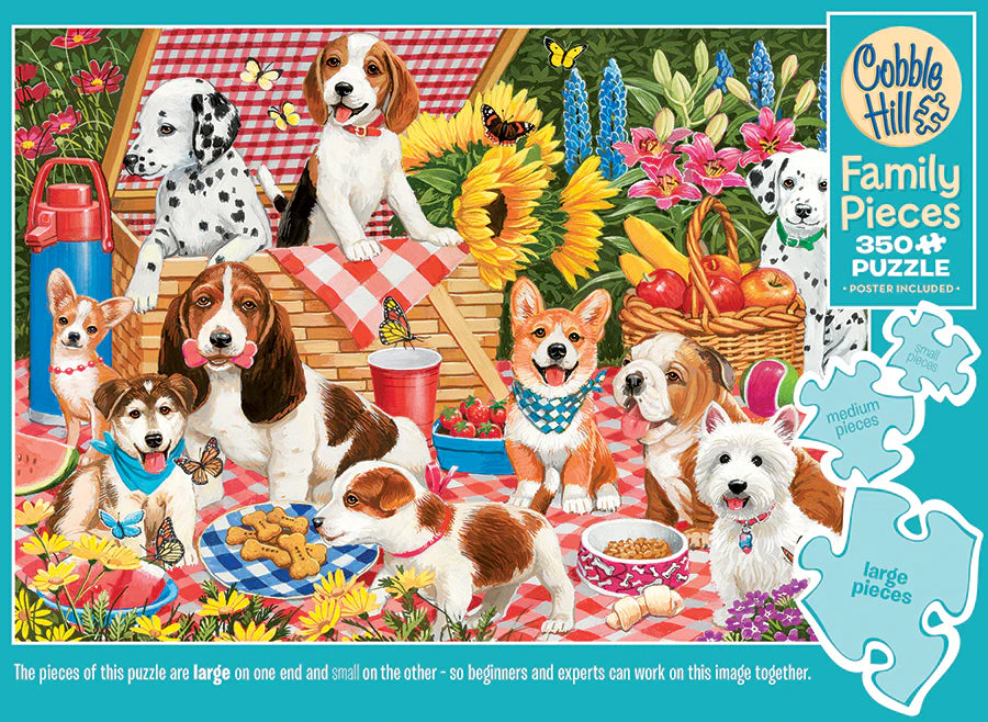 Pinic Box Rgb Picnic Party Family 350pc – Hobby and Toy Central