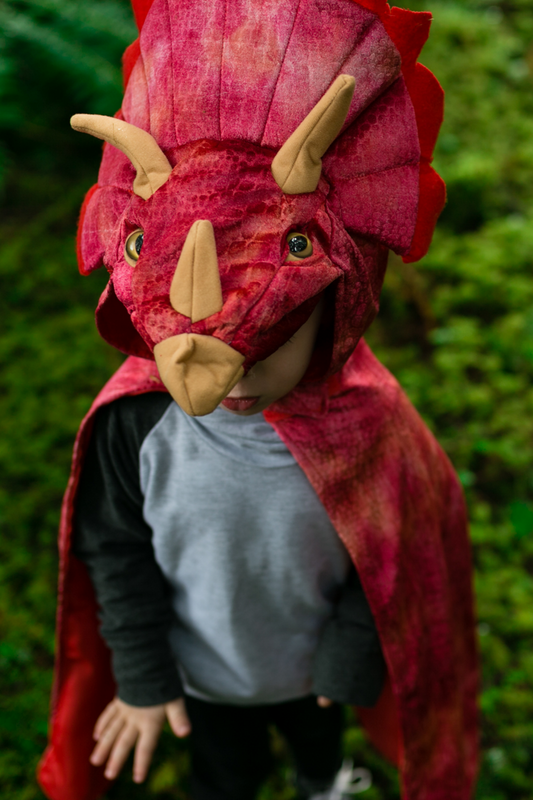 Triceratops Hooded Cape Age 4-5