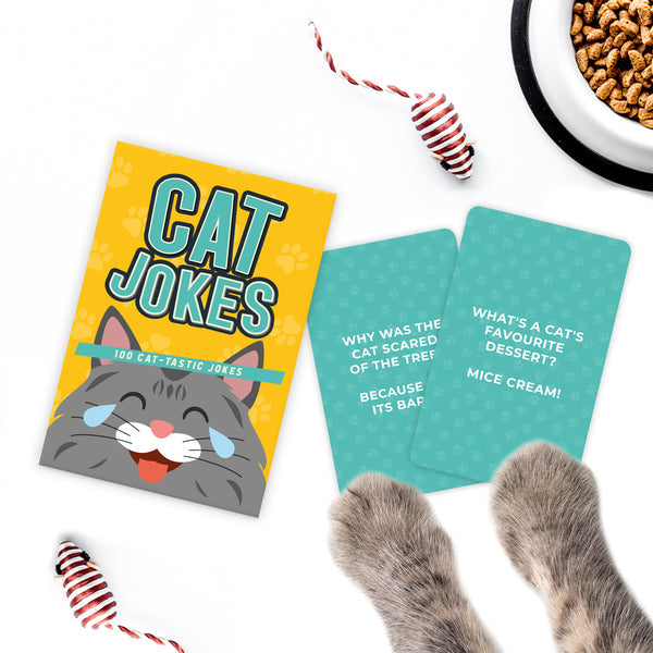 Cat Jokes