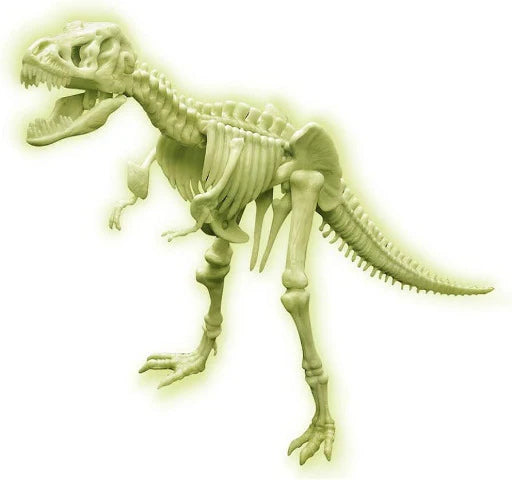 Glowing T-Rex Skeleton