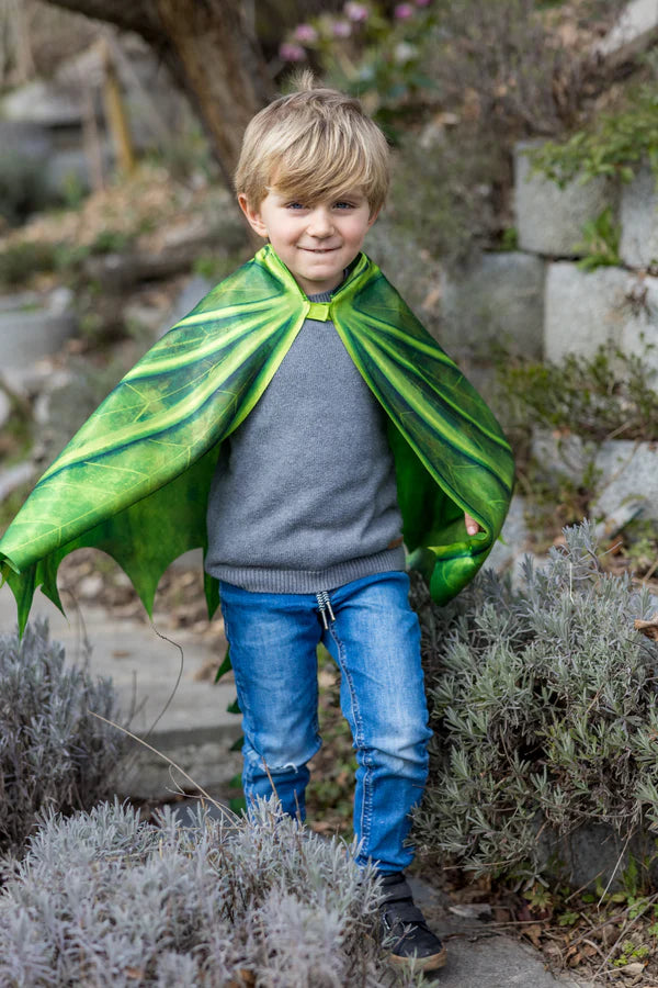 Legendary Dragon Wings with Mask Size 4-6