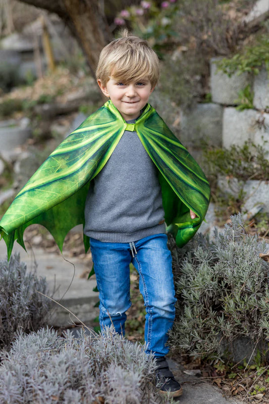Legendary Dragon Wings with Mask Size 4-6