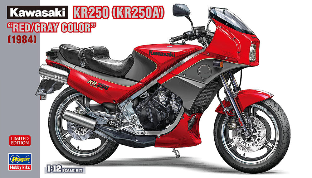 Kawasaki KR250 (KR250A) 1/12