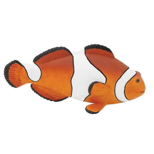 Clownfish Anemonefish