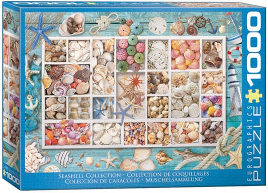 Seashell Collection 1000pc