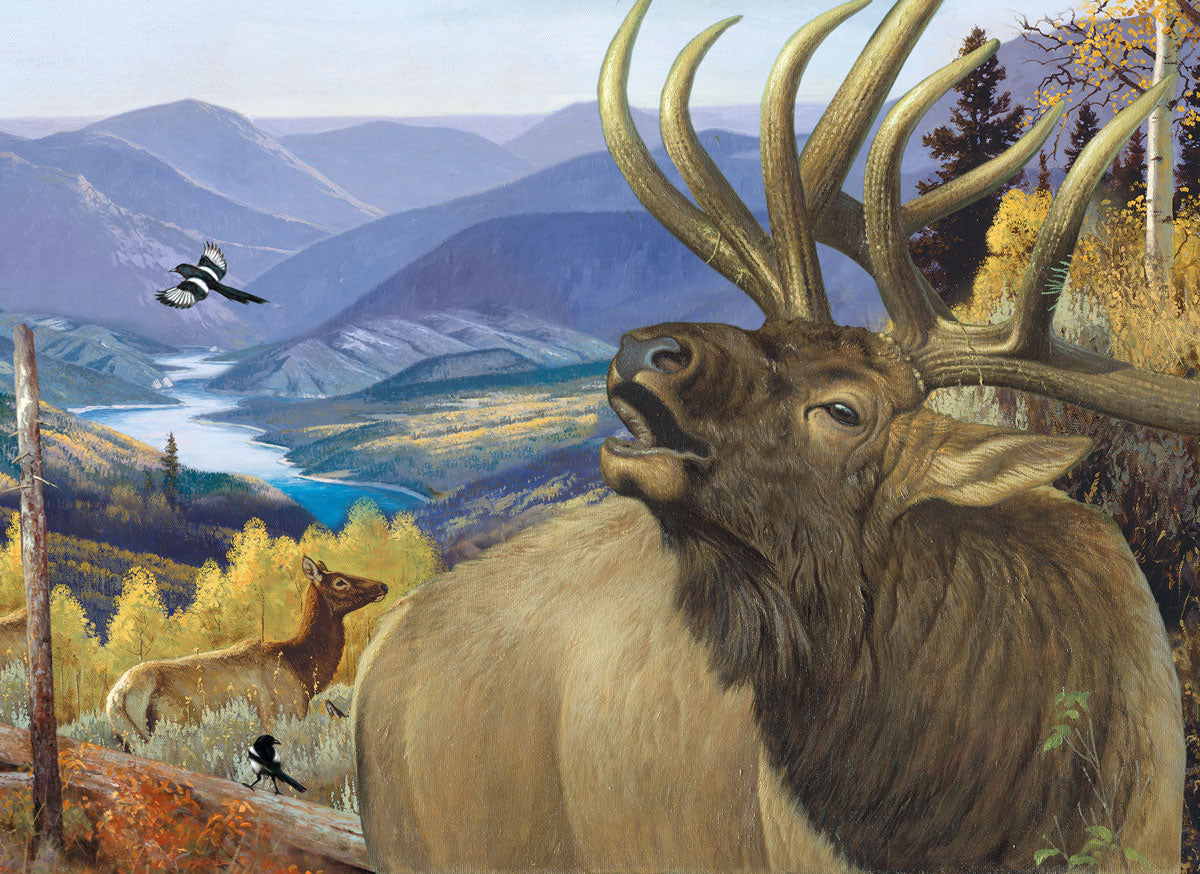 King of the Valley 1000pc