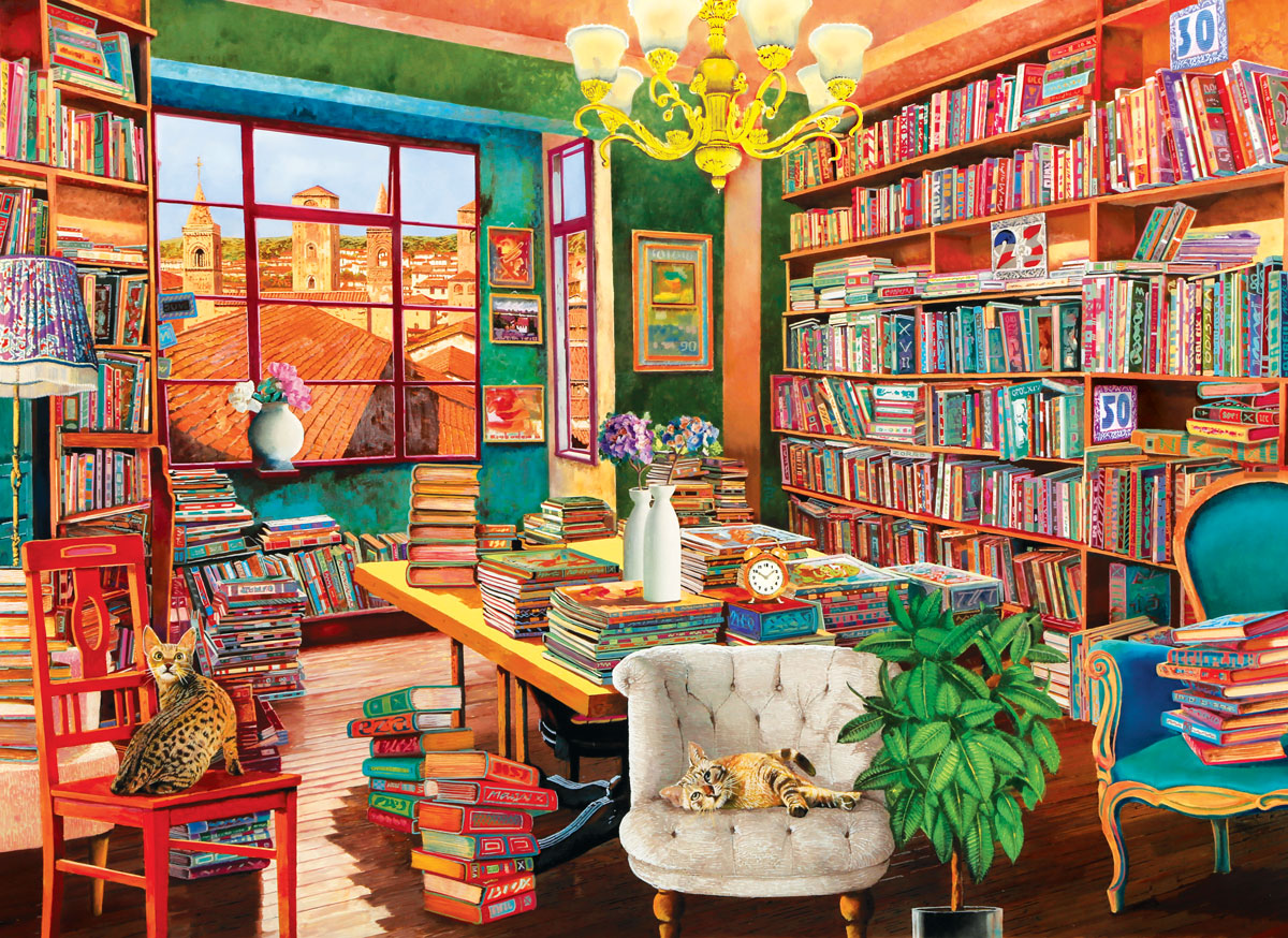 The Old Library 1000pc