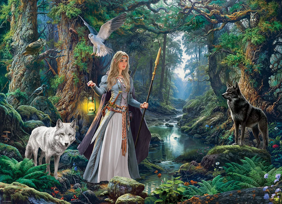 Fantasy Forest 1000p