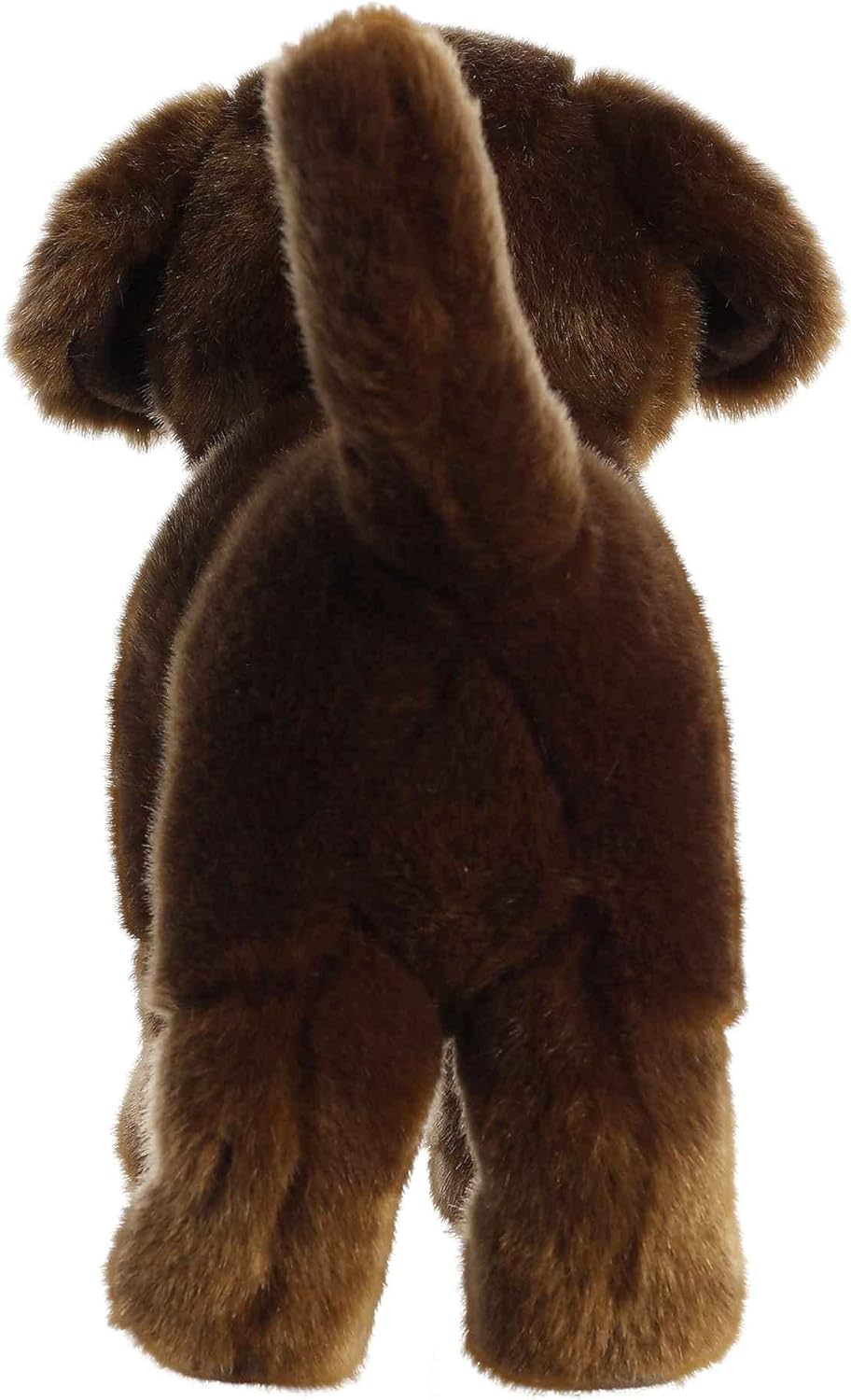 Miyoni Chocolate Lab 10"