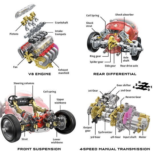 V8 Race Car (Visible Engine)