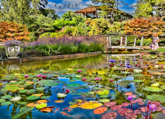 Lily Pond 1000pc