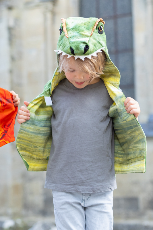 All Day Everyday Dino Vest Size 5-6