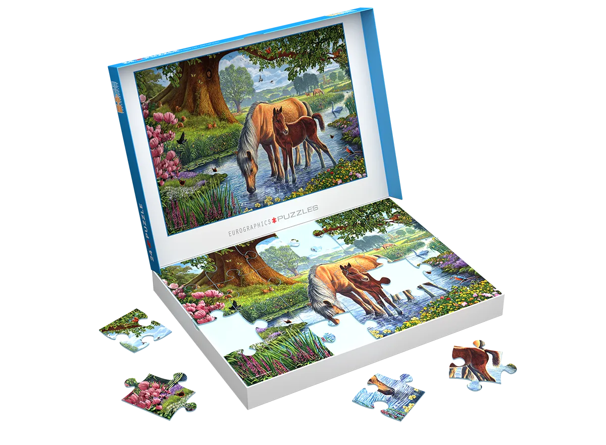The Fell Ponies 24pc