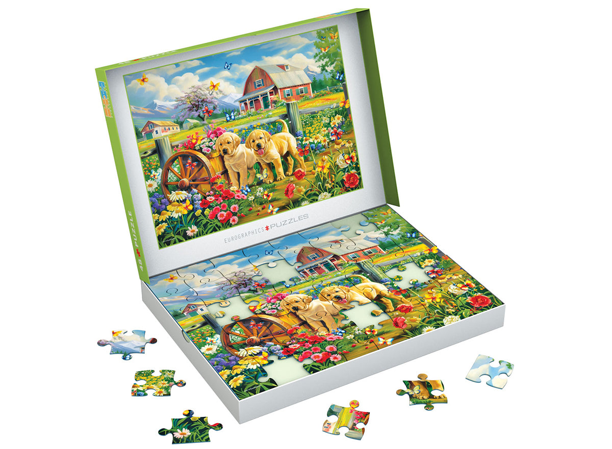 Puppy Spring 48pc