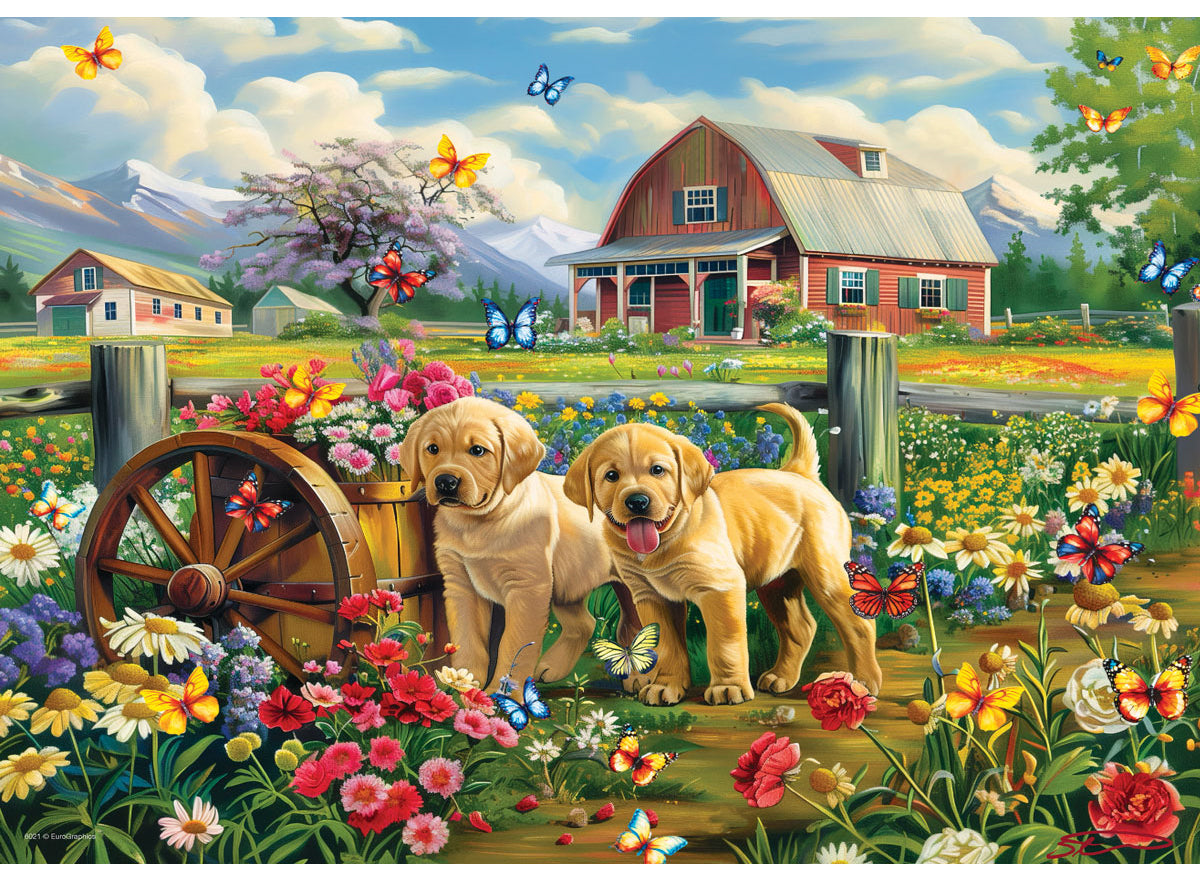 Puppy Spring 48pc