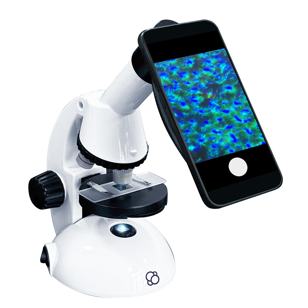 Microscope with Smartphone Adapter 600X
