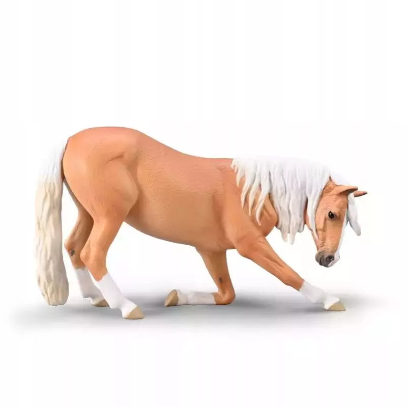 Bowing Lusitano Mare & Palomino