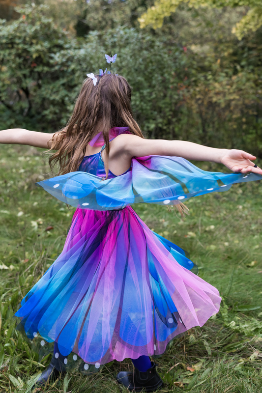Butterfly Twirl Dress with Wings Sizes 5-6