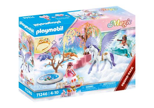 Magic Picnic with Pegasus Carriage
