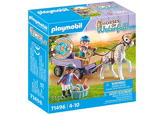 Horses of Waterfall Pony Carriage