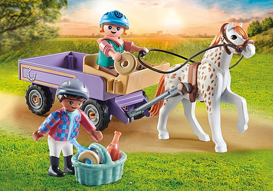 Horses of Waterfall Pony Carriage