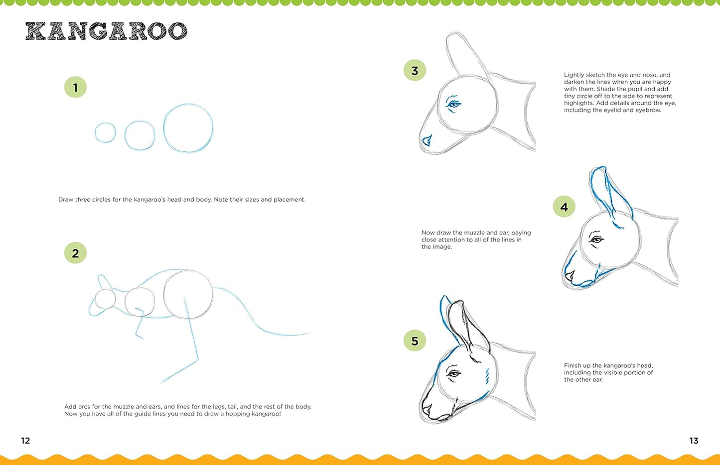 Let's Draw! Wild Animals