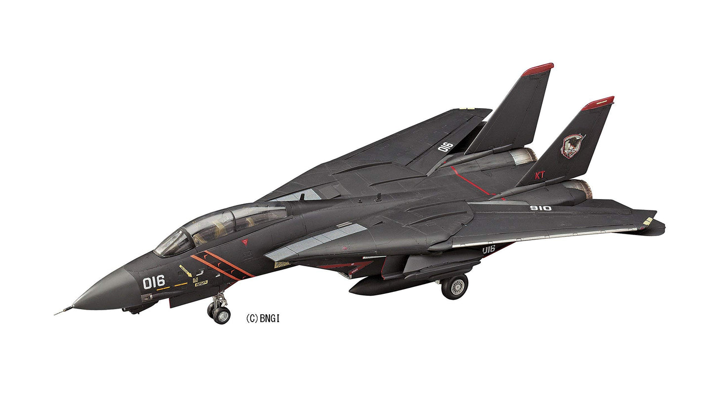 F-14A Tomcat "Razgriz" 1/72