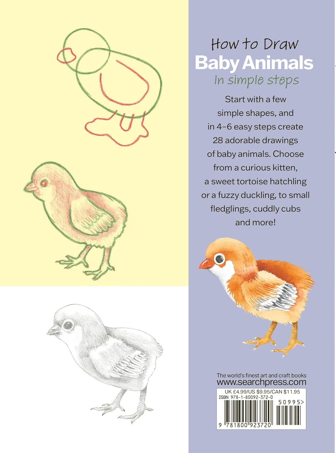 How to Draw Baby Animals in Simple Steps