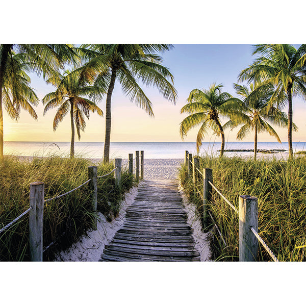 Beach of Florida 1000pc