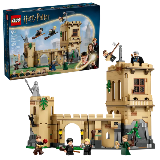 Harry Potter Hogwarts Castle: Flying Lessons