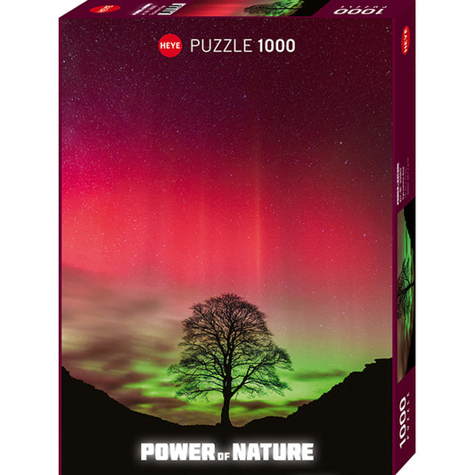 Power of Nature, Sycamore Gap 1000pc