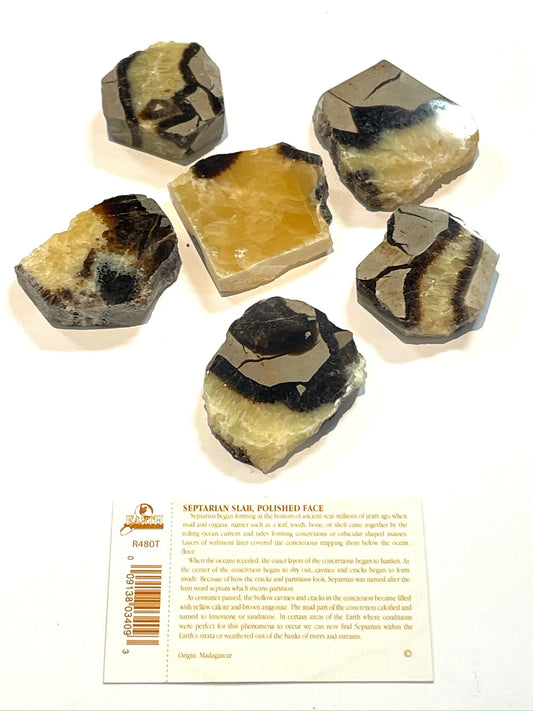 Septarian Slab Polished Face