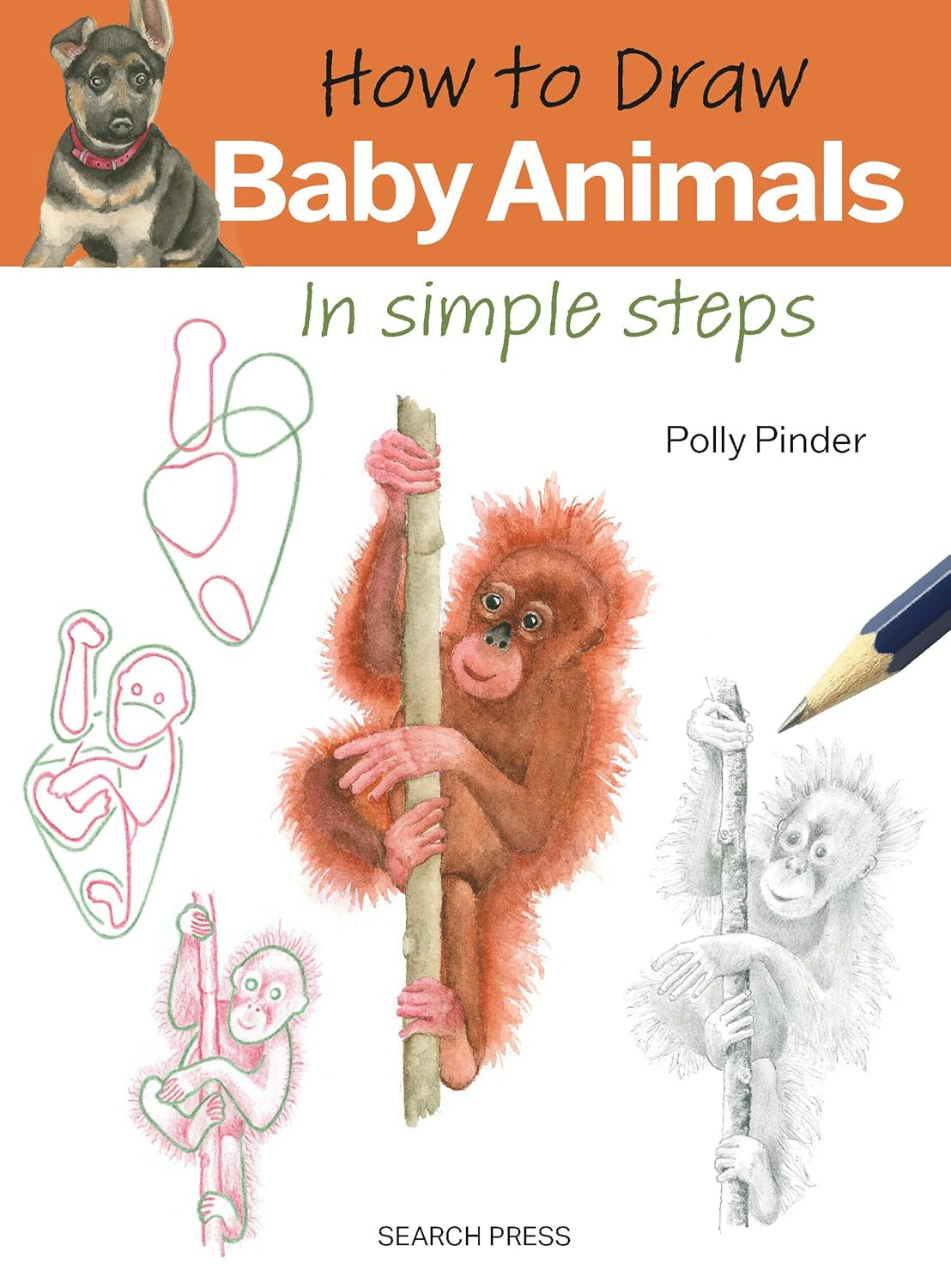 How to Draw Baby Animals in Simple Steps