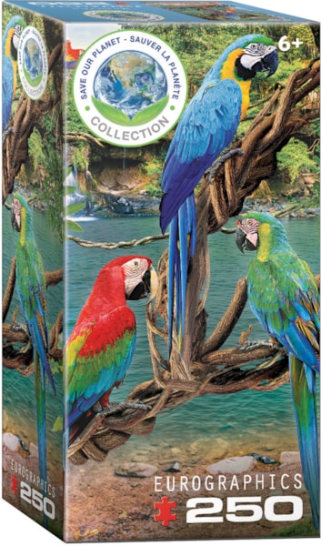 Macaws 250pc