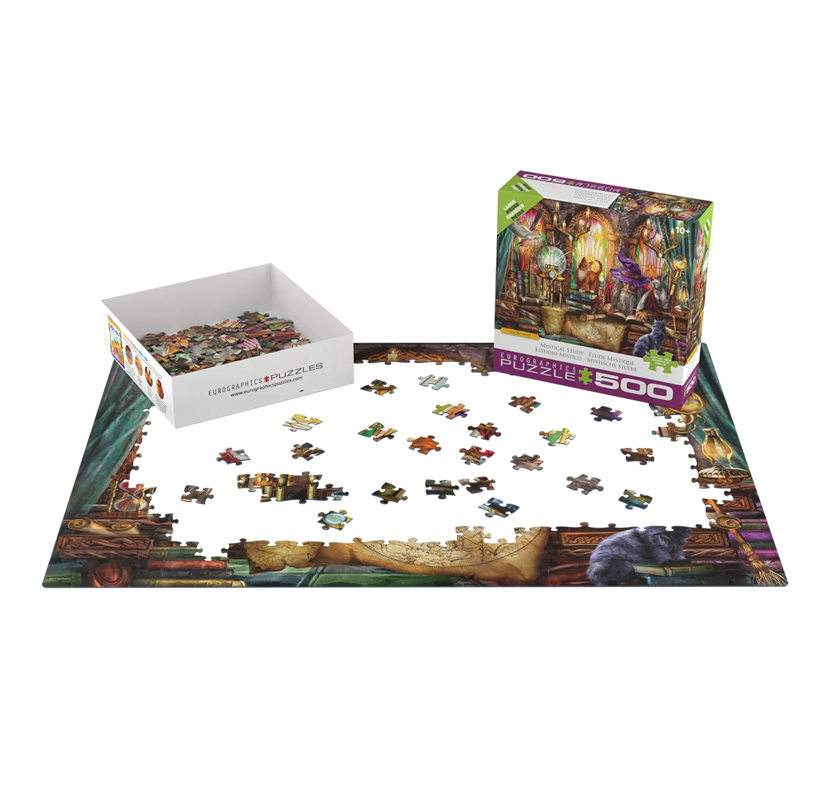 Mystical Study 500pc