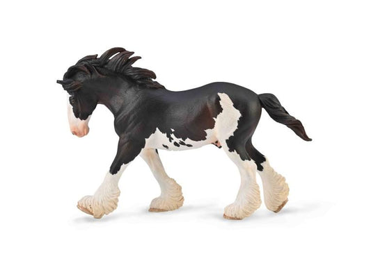 Clydesdale Stallion
