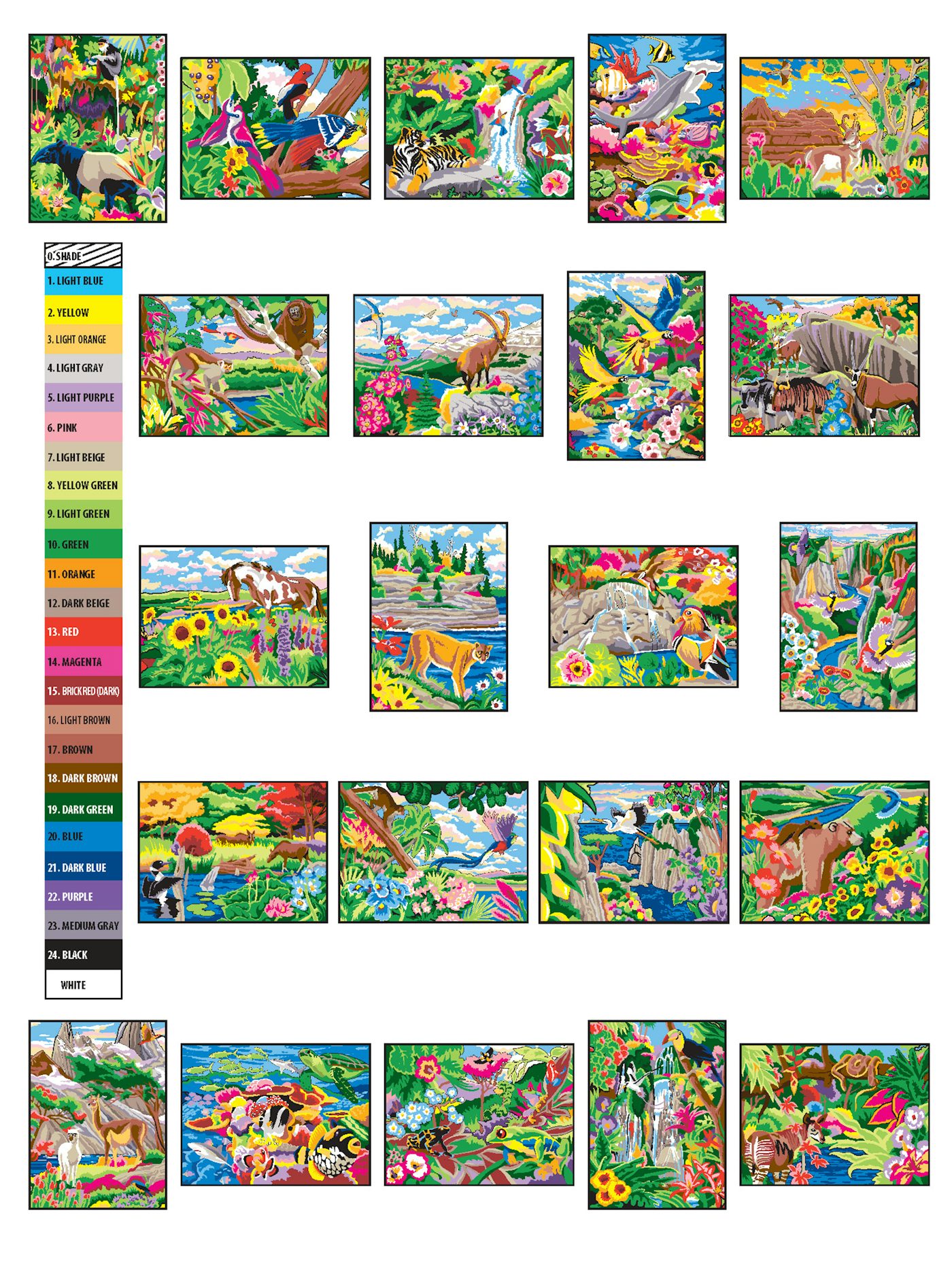 Wonders of Nature Color by Number Book