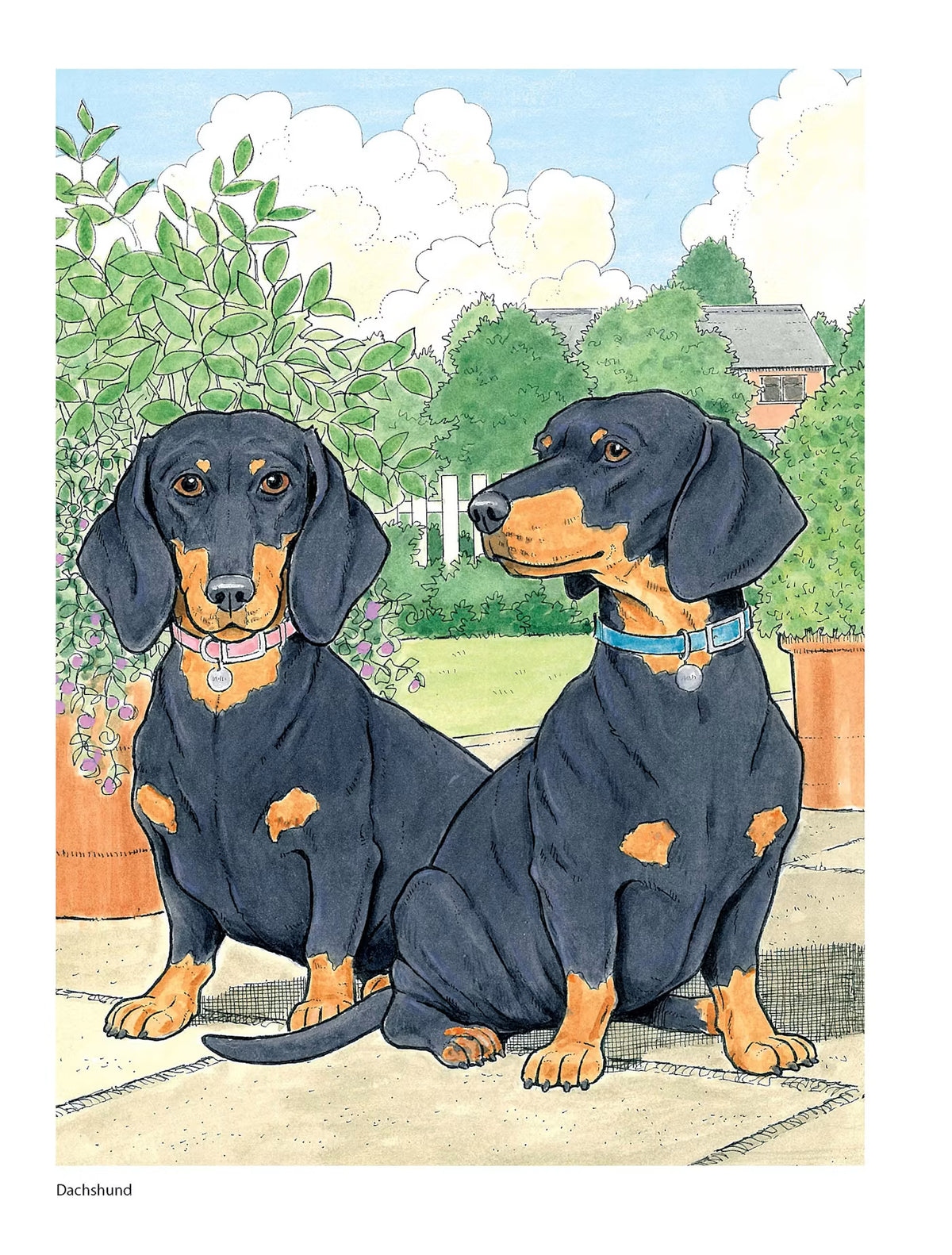 The Dog Lovers Coloring Book