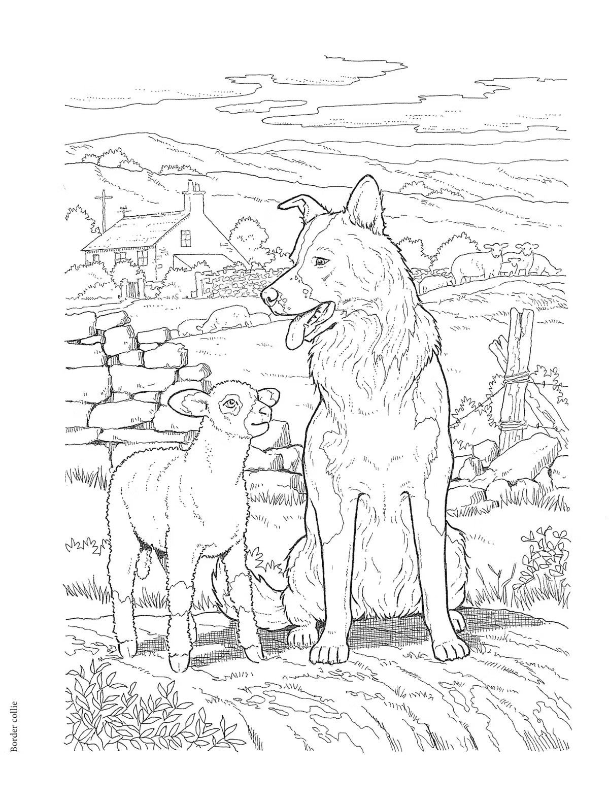 The Dog Lovers Coloring Book