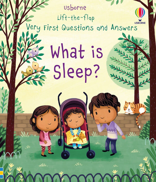What is Sleep? lift the flap book