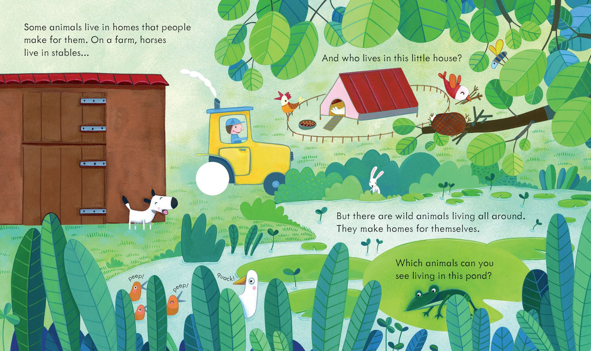 Peek Inside Animal Homes