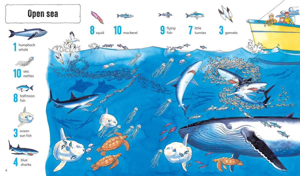 1001 Things to Spot in the Sea