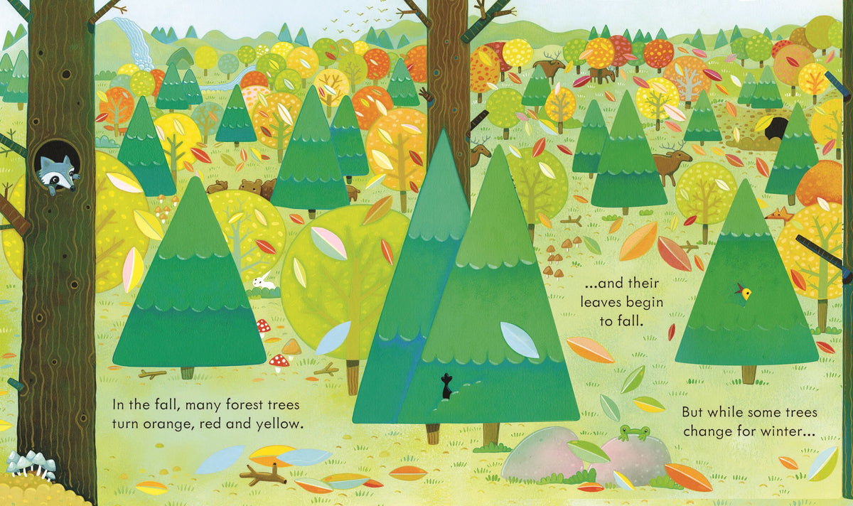 Peek Inside the Forest
