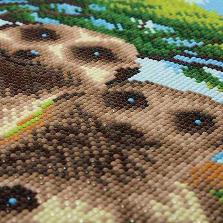 DIY Crystal Art Kit - Meerkat Family 50 x 40cm
