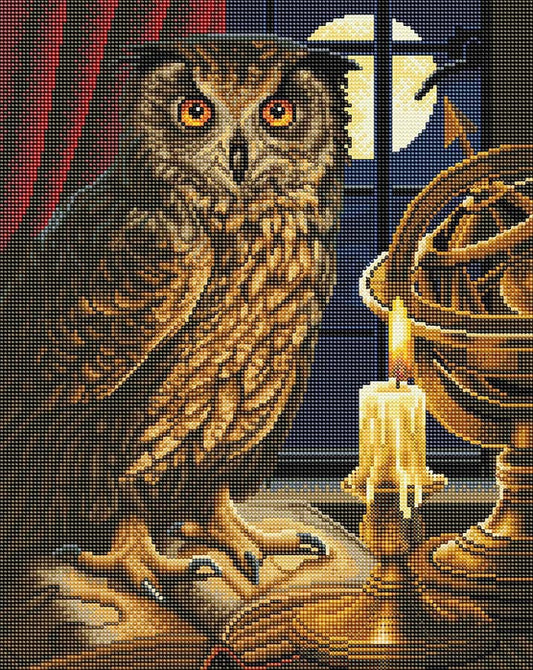 Crystal Art Mounted Kit The Astrologer Owl 20X16"