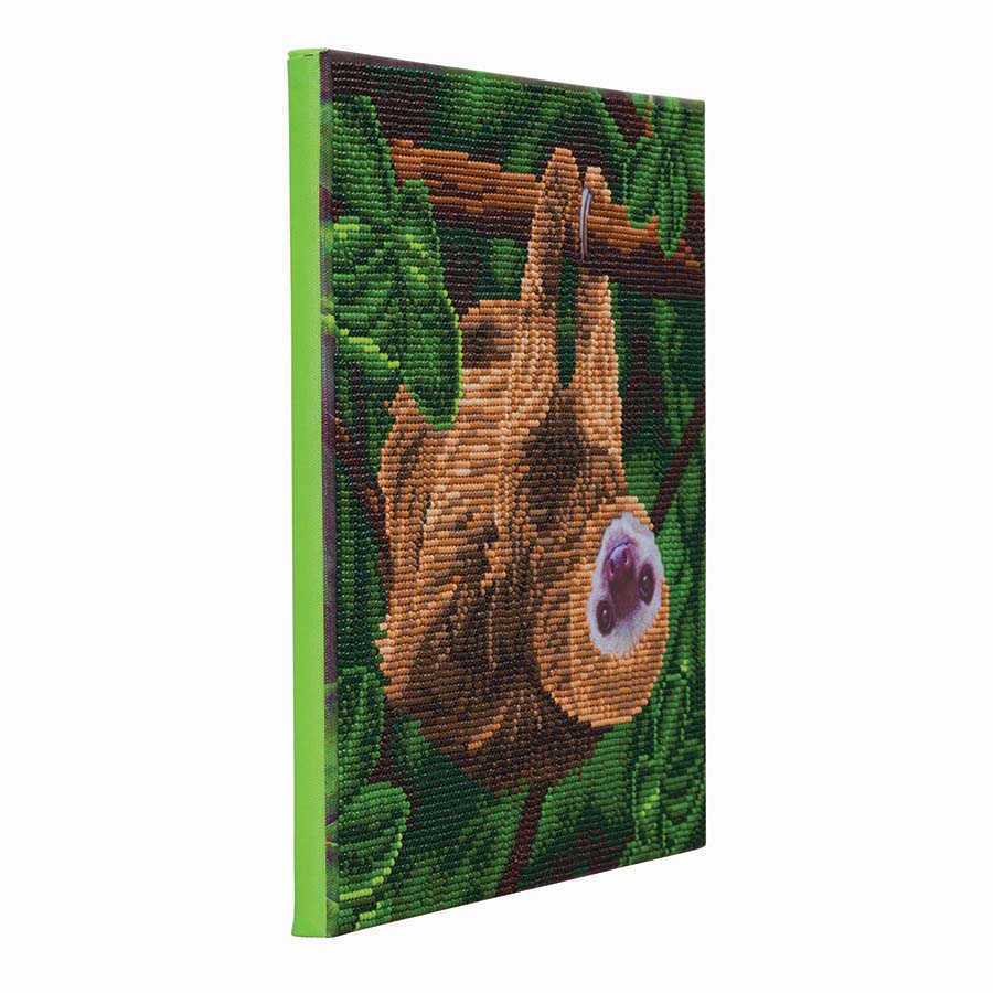 Crystal Art Framed Canvas Art - Two Toed Sloth 30 x 30cm